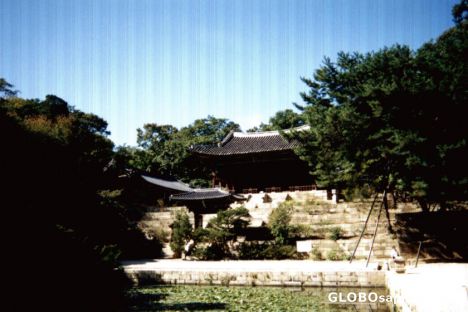 Postcard Secret Garden