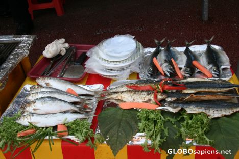 Postcard korean fish
