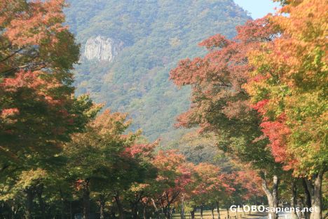 Postcard entering Naejangsan National Park