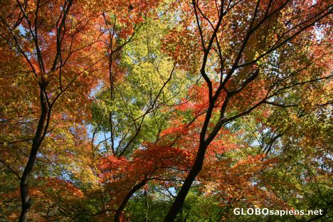 colours of autumn