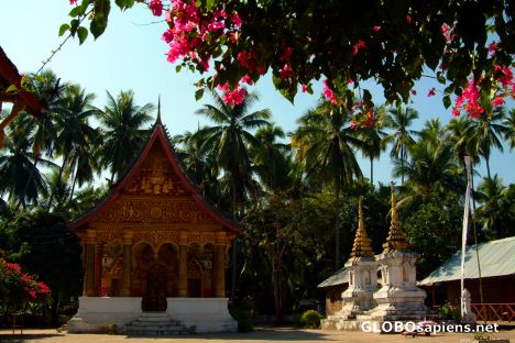 Postcard Luangprabang - buganvillea
