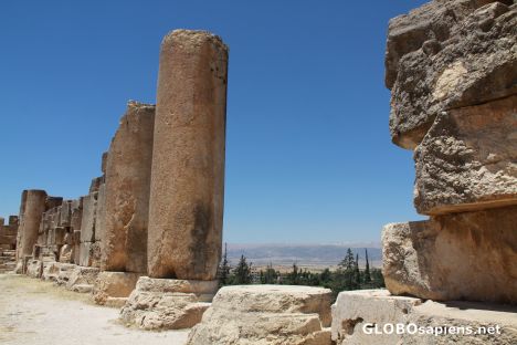 Postcard Baalbek Temples