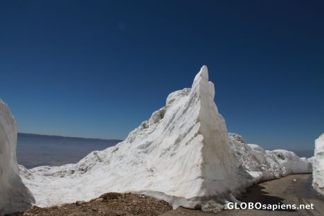 Postcard Lebanese Snow