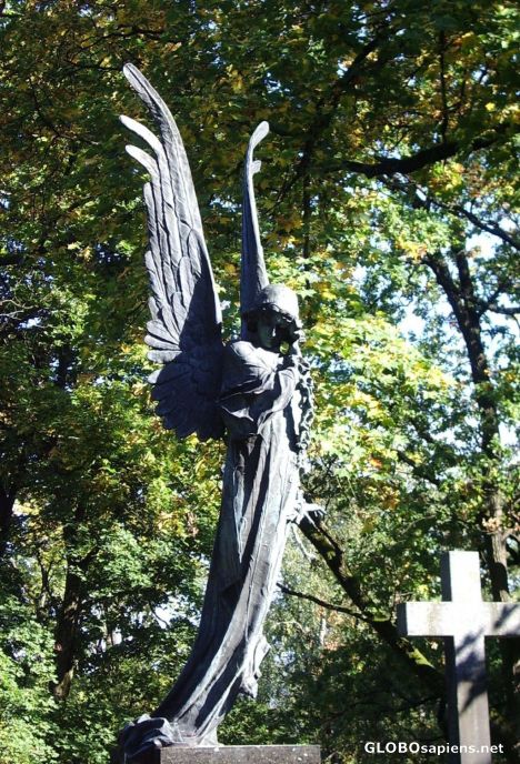 Postcard Another view on the sad angel