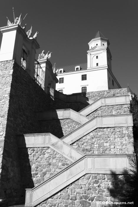 Postcard Black and white