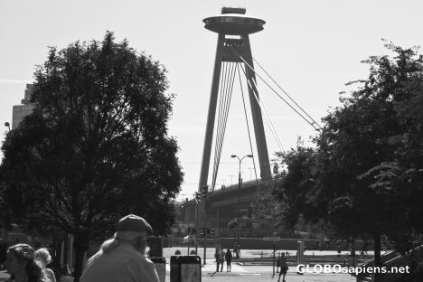 Postcard The pylon (b/w)
