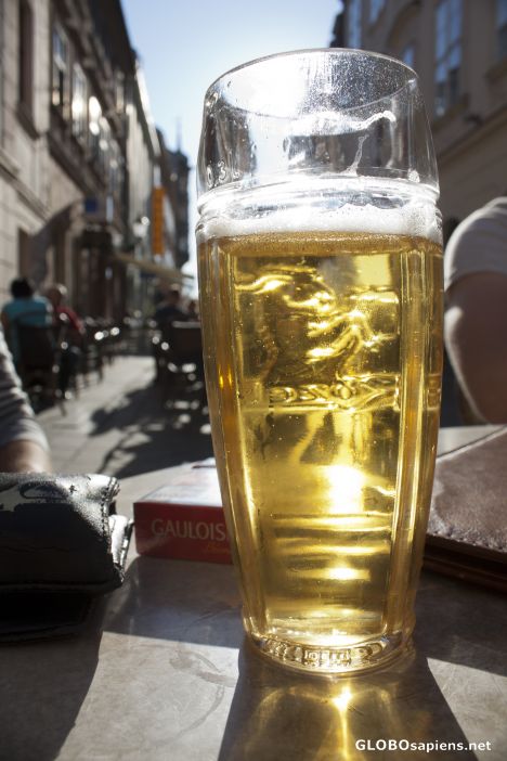 Postcard Kozel beer..