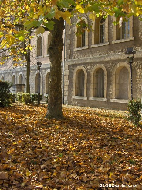 Postcard Colours of autumn