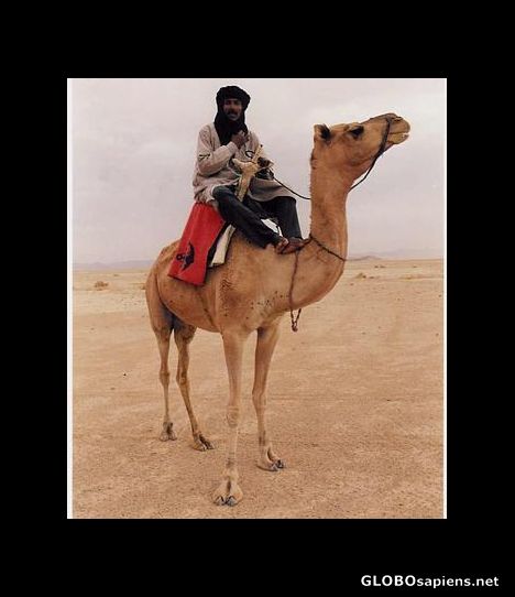 Postcard Confortable transport in tradition the desert