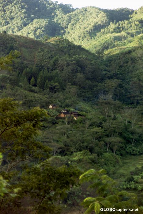 Ranomafana - Madagascar's treasure