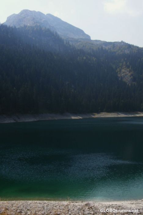 Postcard Green waters of the Black Lake.