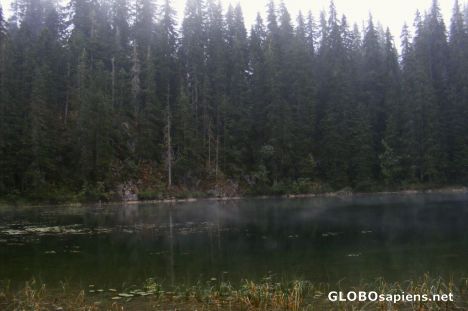 Postcard Misty lake