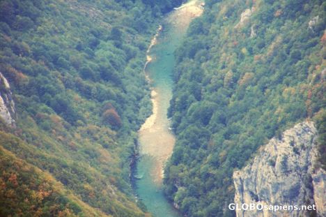 Postcard Tara River 2