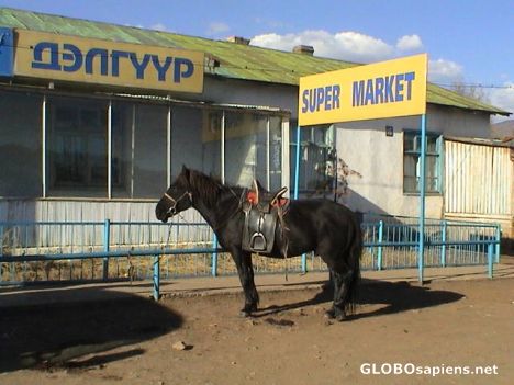 Postcard Take a horse and go shopping!