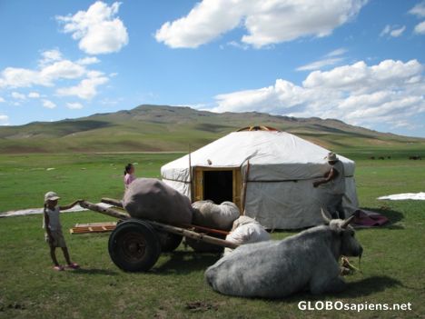 Postcard At the Gobisk-Altaj areas