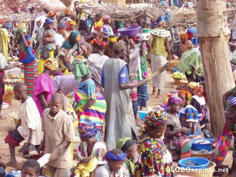 Postcard DOGON MARKET