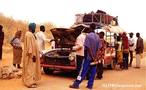 Postcard African bache...