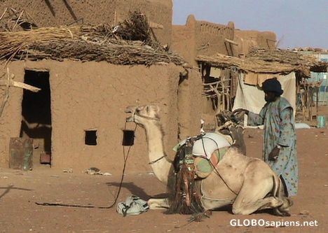 Postcard Street in Hombori