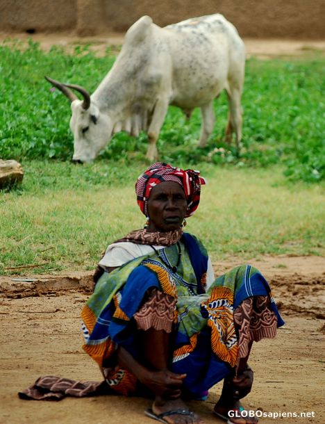 Postcard The woman and her cow