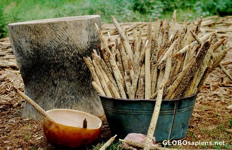 Postcard millet ready in the molter