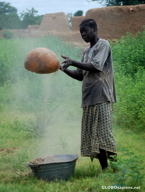 Postcard Millet dust