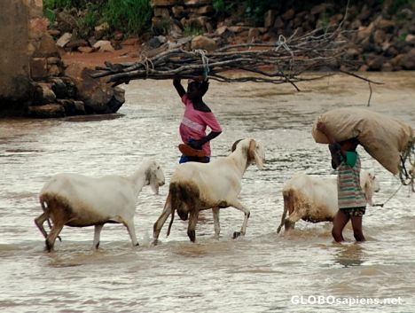 Postcard Crossing the river