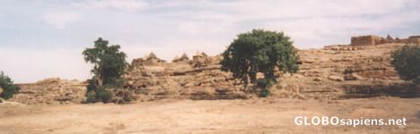 Postcard Djigibombom