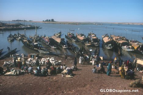 Postcard The harbour of Mopti