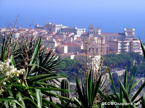 Postcard Monaco