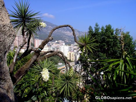 Postcard Monte-carlo