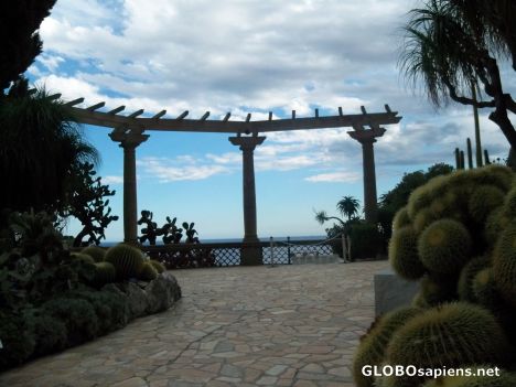 Postcard Exotic Gardens