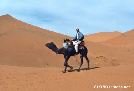 Desert Trekking