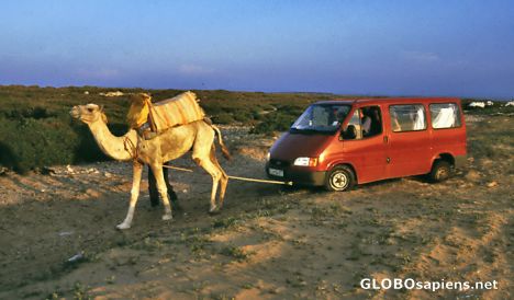 Postcard Sidi Kaouki