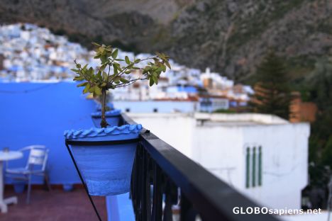 Postcard Blue flowerpot