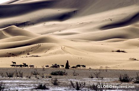 Postcard sahara desert