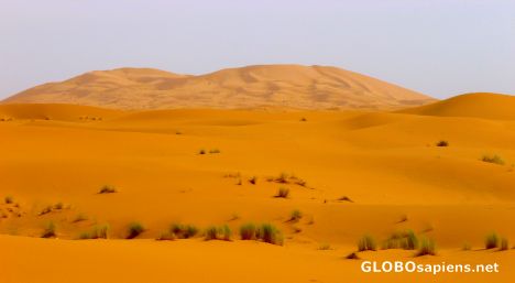 Postcard Merzouga