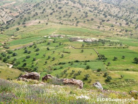 Postcard Green valley