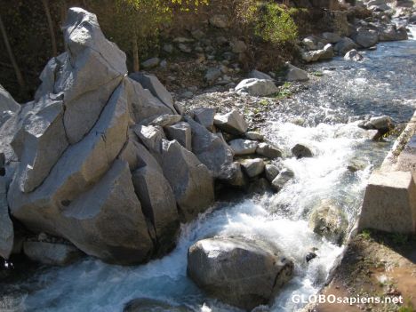Postcard A Stream