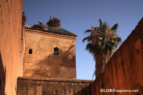 Postcard El Badi Palace 4