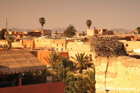 Postcard Panorama