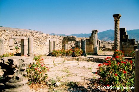 Postcard Volubilis - with a little colour
