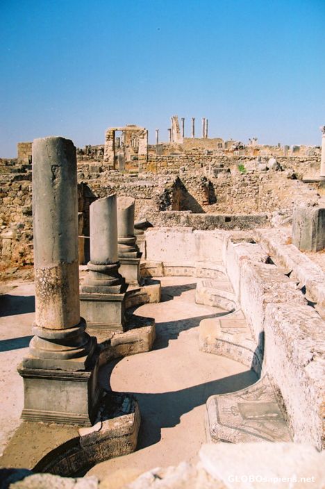 Postcard Volubilis - more columns