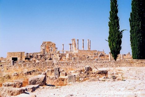 Postcard Volubilis - general view of the centre