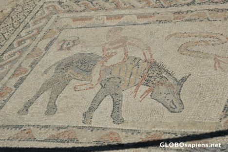 Postcard Stunning roman mosaics