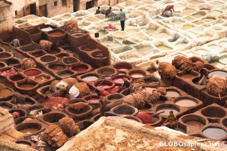 Postcard Hard work in the tanneries