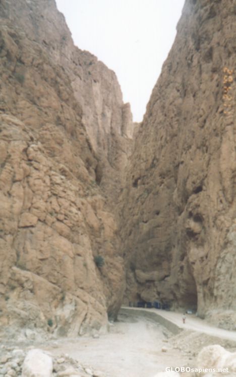 Postcard Todgha Gorge