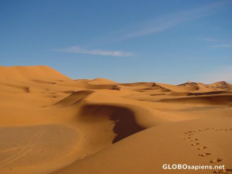 Postcard Merzouga dunes.