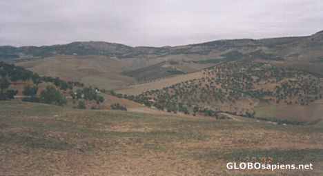 Postcard Country side around Fes