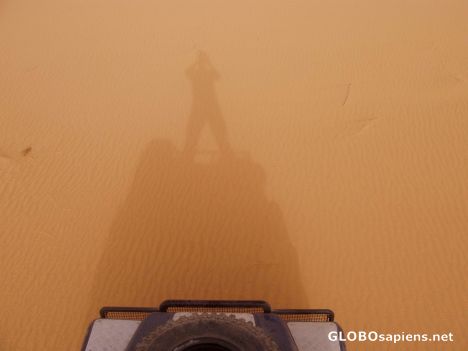 Postcard SAND SCULPTURES