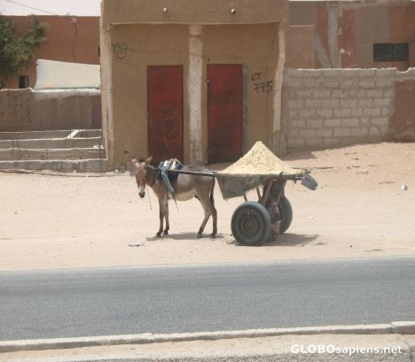 Postcard Typical means of transportation